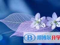 2021年涼山中考網(wǎng)報