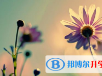 2021年涼山中考網(wǎng)絡(luò)服務(wù)平臺