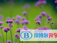 2021年涼山中考網(wǎng)絡(luò)服務(wù)應(yīng)用平臺