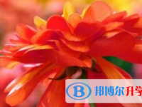 2021年涼山中考網(wǎng)絡(luò)平臺