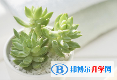 2021年延安中考重點(diǎn)線預(yù)測