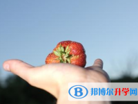 2021年咸陽中考志愿填報(bào)