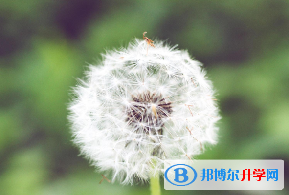 2021年咸陽中考志愿填報(bào)技巧