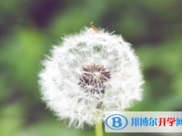 2021年咸陽中考志愿填報(bào)技巧
