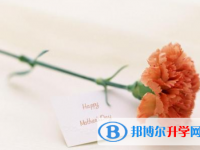 2021年漢中怎樣從網(wǎng)上查詢中考成績(jī)
