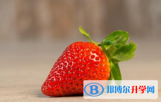 2020年內(nèi)江中考報(bào)名查詢