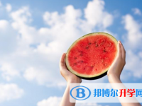 2021年漢中中考查詢成績(jī)
