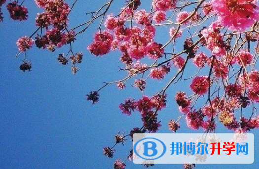 2021年安康中考招生學校