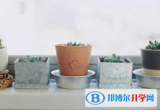 2021年漢中中考看成績是在哪個網站