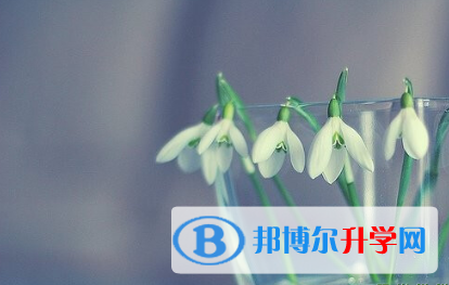 2021年安康中考后可以上什么學(xué)校