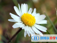 2021年漢中中考報考人數
