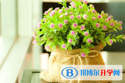 2021年漢中中考查詢網(wǎng)址