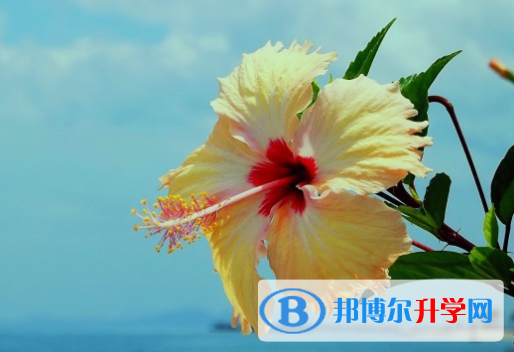 2021年漢中中考查詢系統的密碼記不到了怎么辦