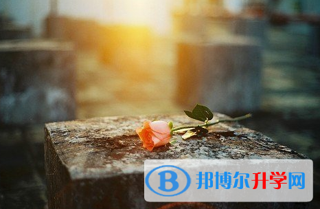 2021年漢中中考服務應用平臺