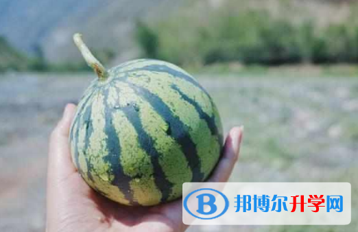 2021年商洛中考考點