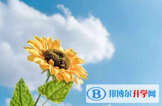 2021年商洛中考考試成績(jī)