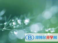 2021年安康中考志愿填報(bào)