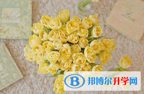 2021年石家莊網(wǎng)上查詢中考成績