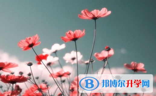 2021年石家莊網(wǎng)上查詢中考成績(jī)?cè)趺床樵? width=
