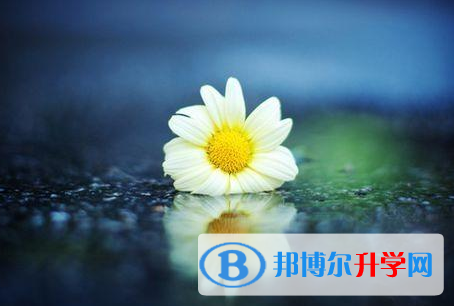 2021年石家莊中考查詢成績(jī)