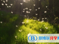 2021年石家莊中考查詢系統