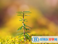 2021年石家莊中考成績查詢網址