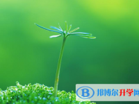 2021年石家莊中考成績怎么算