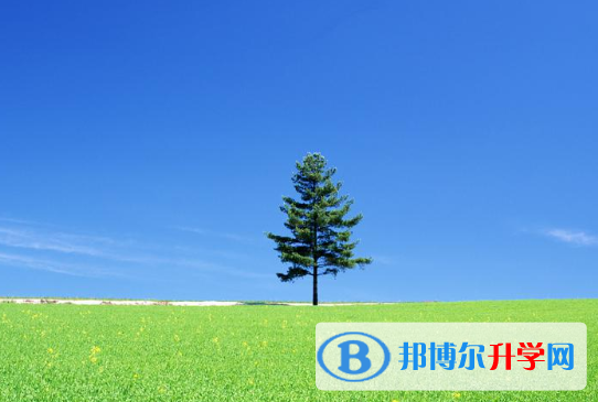 2021年石家莊中考成績(jī)?cè)谀睦锊樵? width=