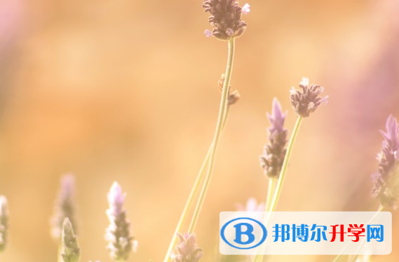 2021年石家莊中考成績(jī)差怎么辦