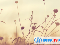 2021年石家莊教育網中考查詢