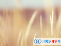 2021年石家莊各個學校中考錄取線