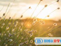 2021年石家莊二類學校中考