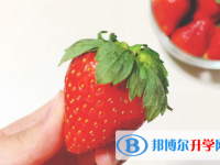 2021年商洛中考網(wǎng)絡(luò)應(yīng)用平臺