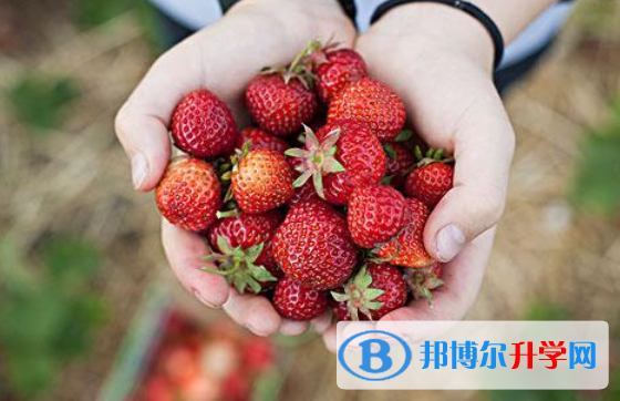 2021年商洛中考網上報名模擬
