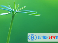 2021年石家莊如何填中考學校
