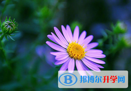 2021年石家莊中考報名網