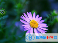 2021年石家莊中考報名網