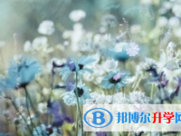2021年石家莊中考成績今年怎么這么高