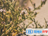 2021年石家莊中考成績出來了嗎