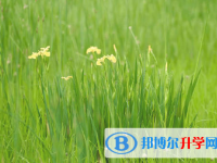 2021年石家莊中考規則