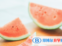 2021年唐山中考孩子的營養餐