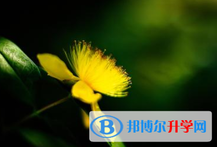 2021年秦皇島中考錄取時(shí)間