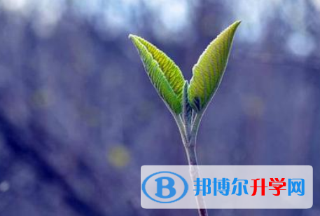2021年秦皇島中考沒考上可以復讀嗎
