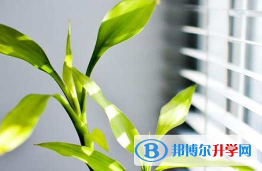 2021年唐山中考有不有補錄