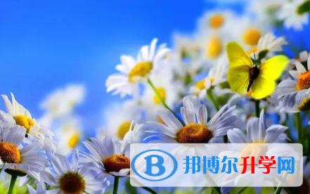 2021年秦皇島中考統(tǒng)考成績(jī)