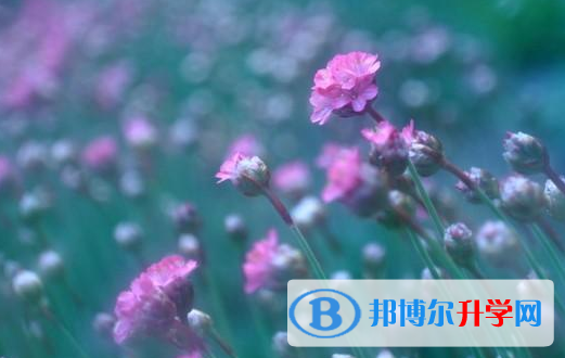 2021年秦皇島中考網(wǎng)報(bào)