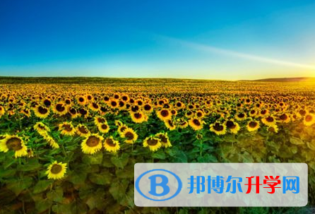 2021年秦皇島中考網上學校