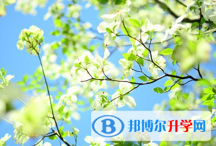 2021年秦皇島中考網登錄
