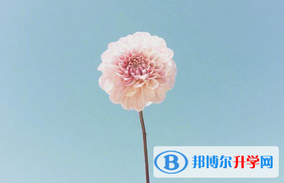 2021年唐山中考報名網(wǎng)站登錄