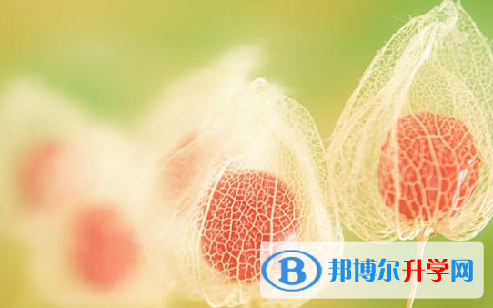 2021年秦皇島中考招生計劃查詢